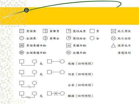 家庭成員關係表|免費可編輯家系圖範例與模板 